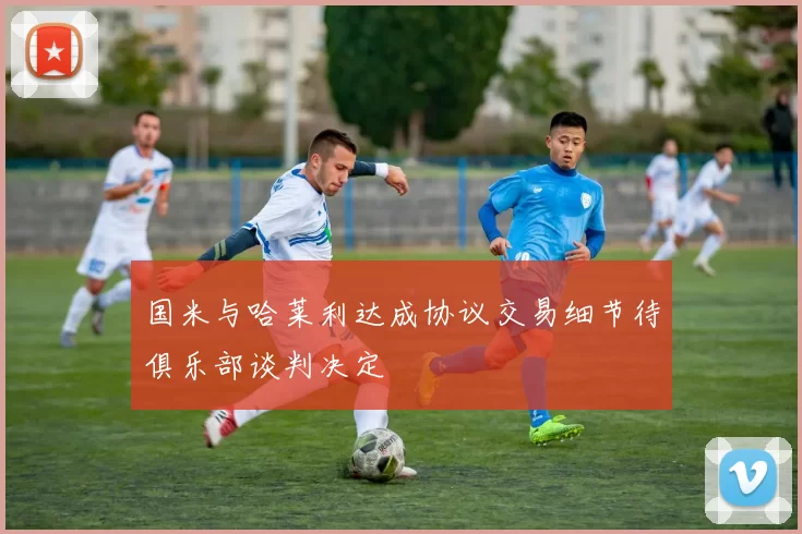国米与哈莱利达成协议交易细节待俱乐部谈判决定